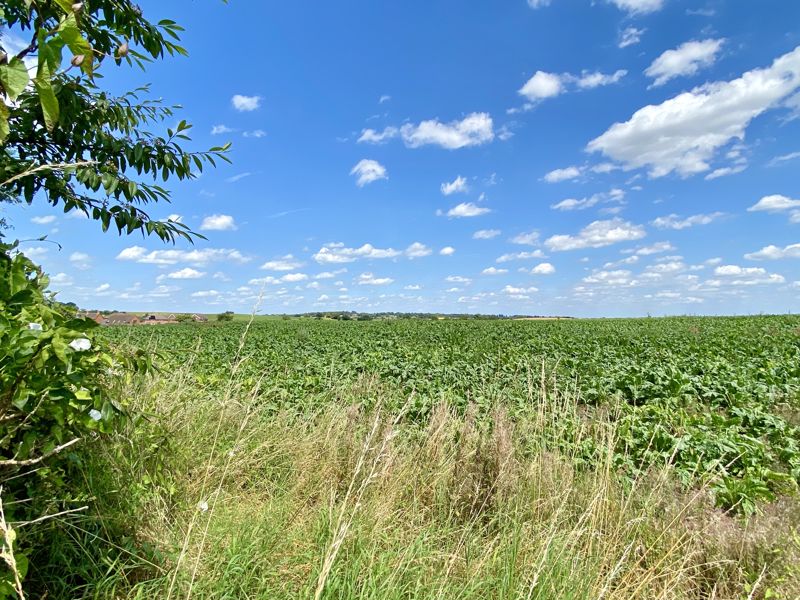 Views over countryside- click for photo gallery